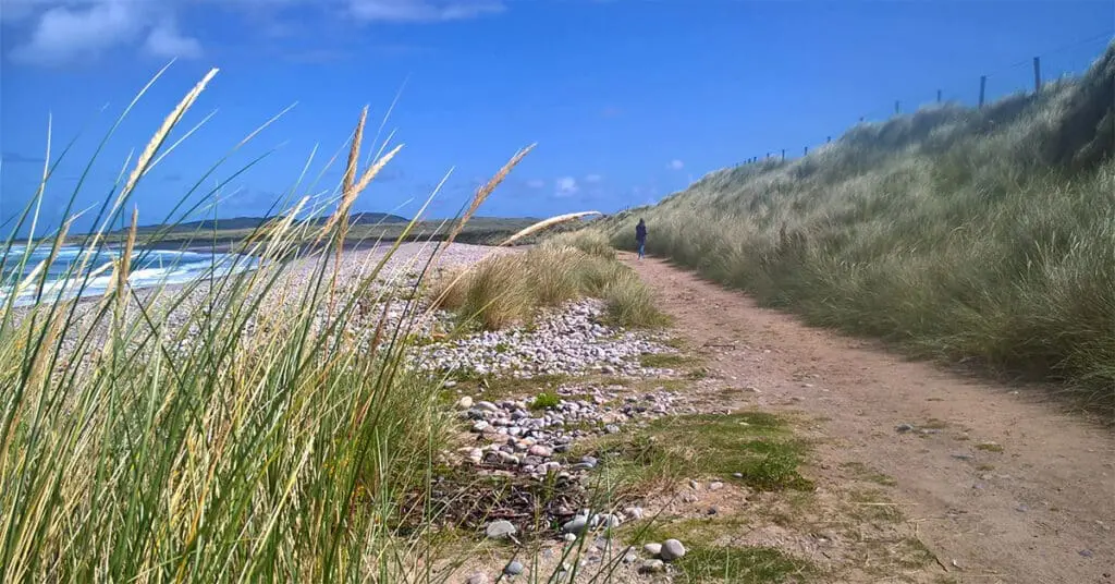 A pebble beach backed by sand dunes