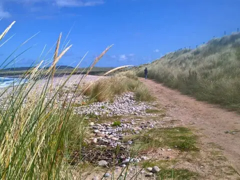 A pebble beach backed by sand dunes