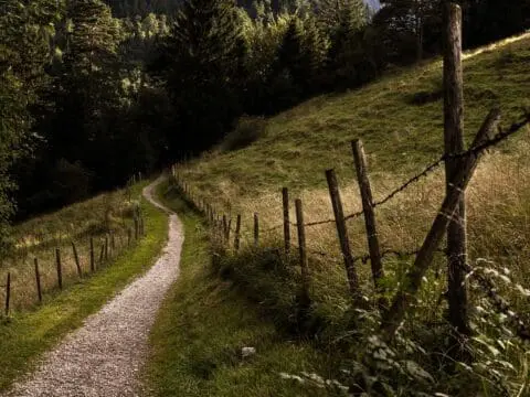 A winding countryside path