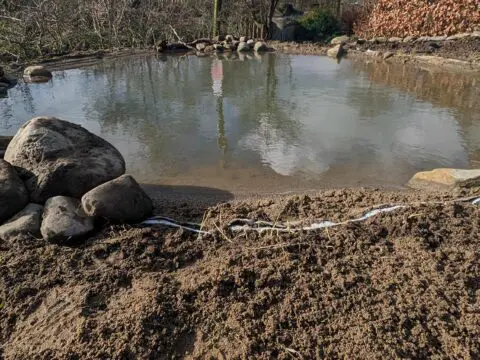 A newly constructed wildlife pond