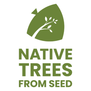 nativetreesfromseed.com logo