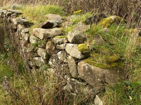 An old drystone wall in need of repair