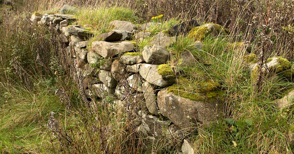 An old drystone wall in need of repair