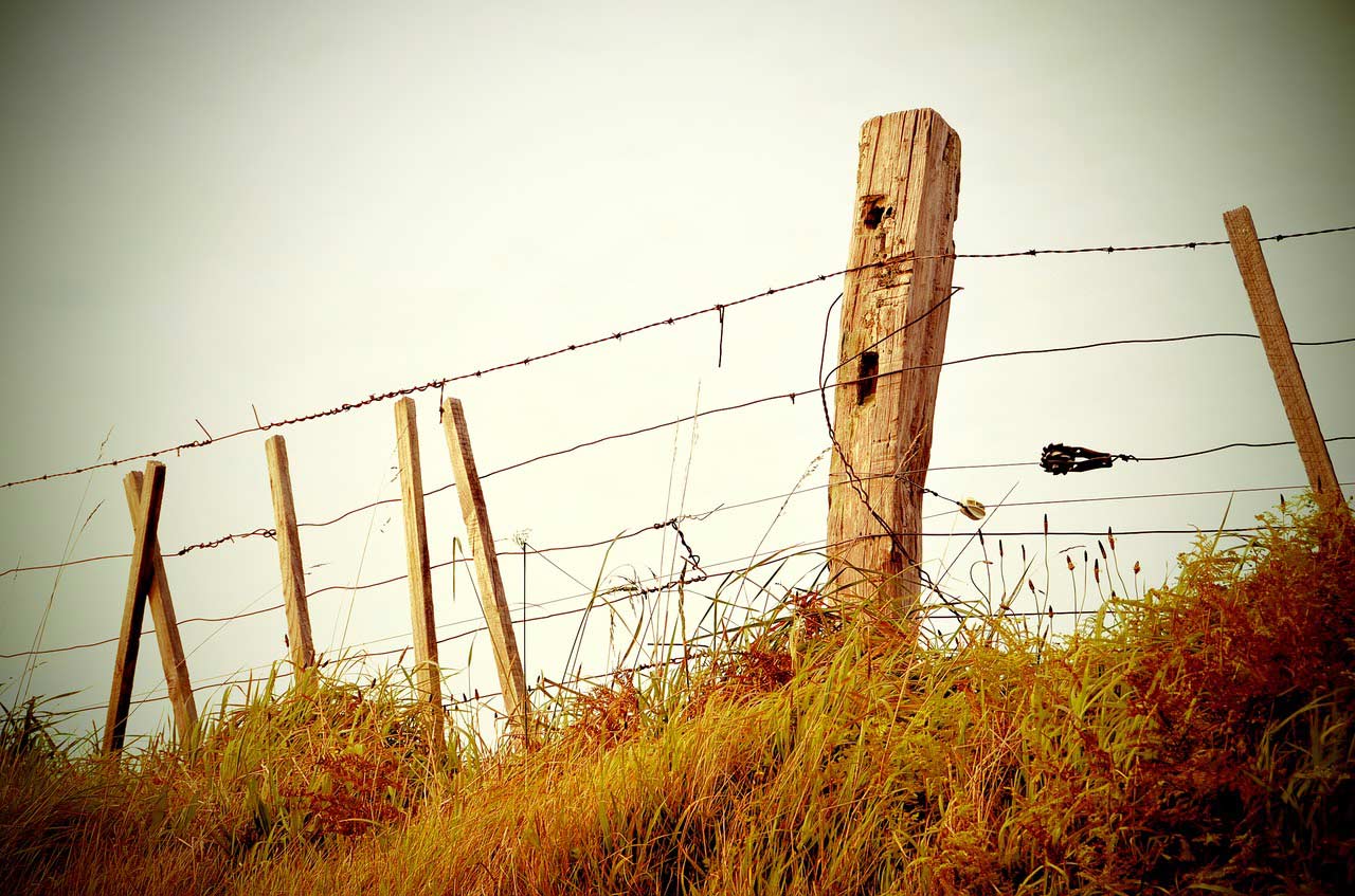 An old, rusty wire fence in the countryside