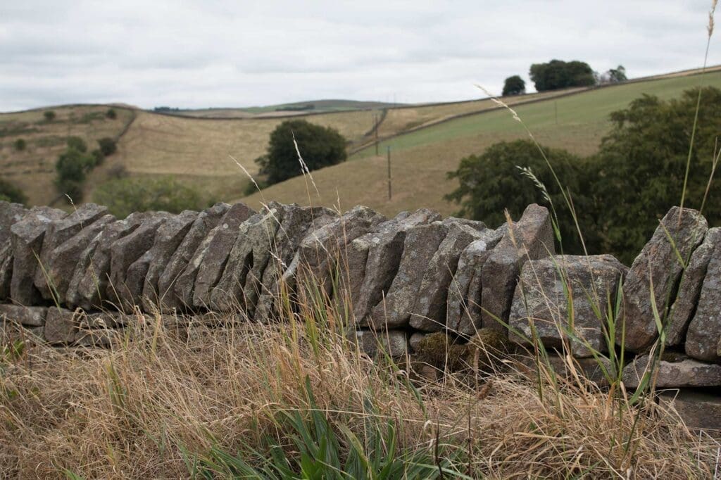 A dry stone wall in the Peak District