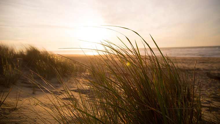 Sand dune at sunset