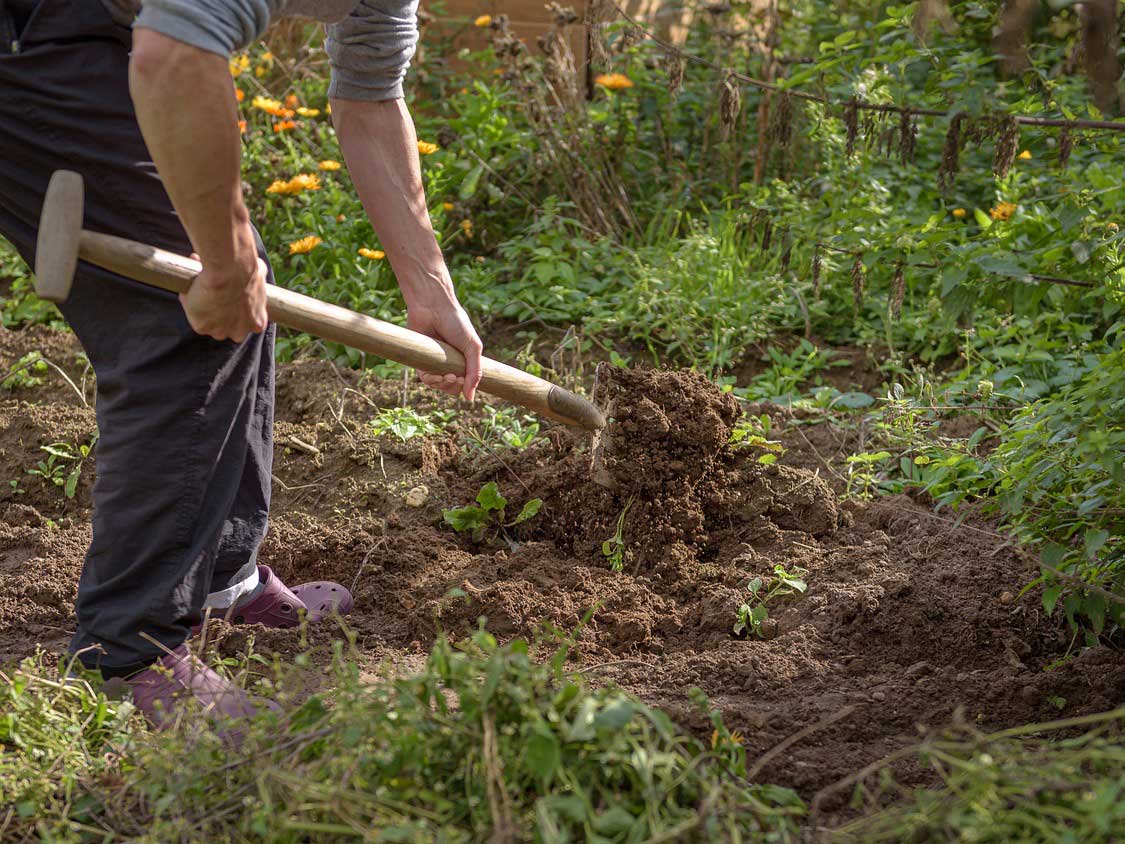 Create A Wildflower Meadow Grow Native Trees From Seed